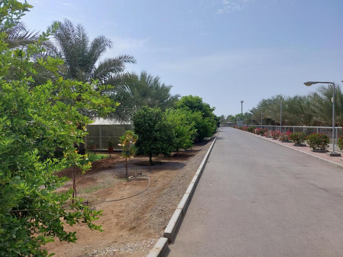 Asahalah Farm Pool Villas Seeb Εξωτερικό φωτογραφία