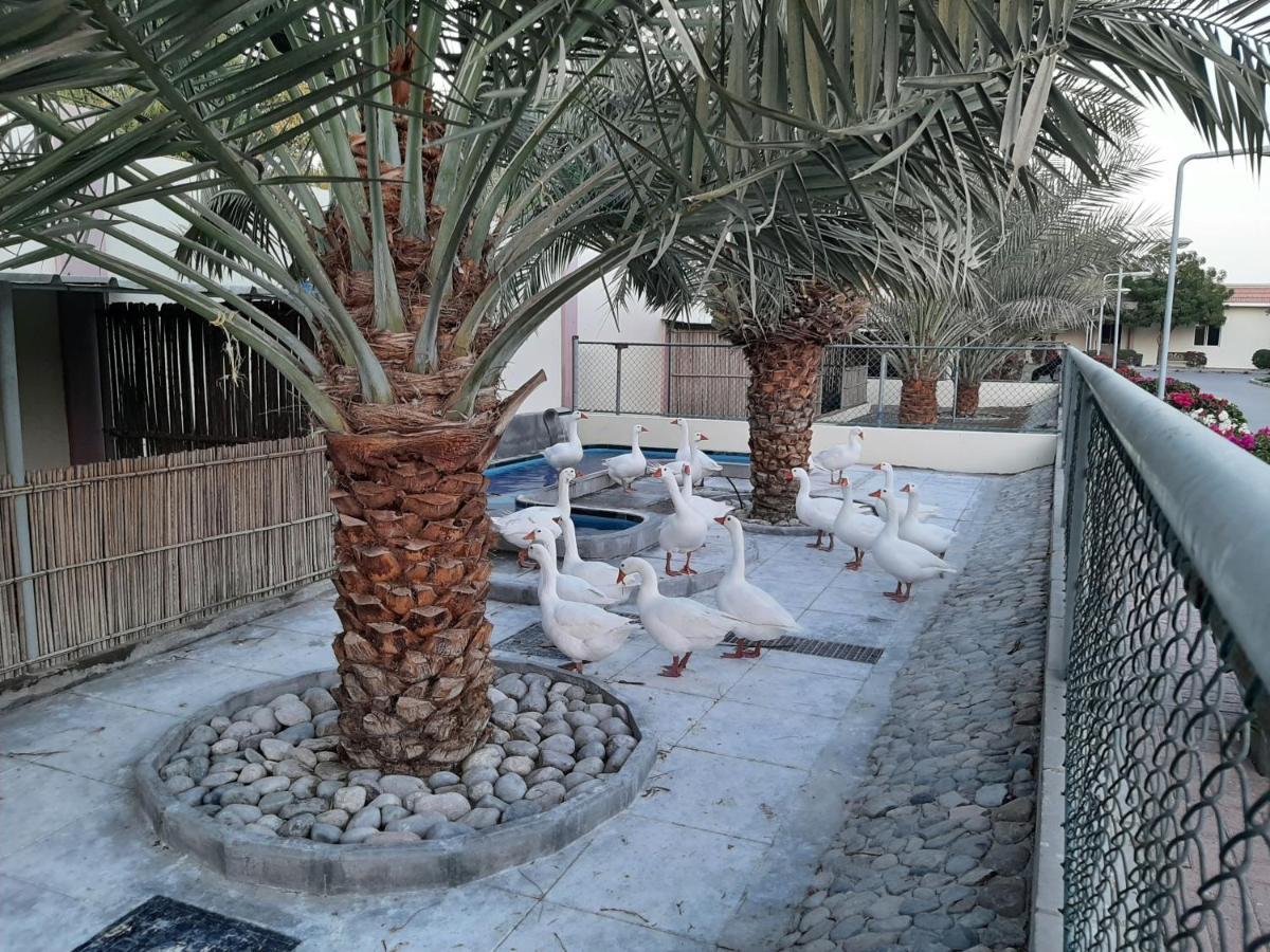 Asahalah Farm Pool Villas Seeb Εξωτερικό φωτογραφία