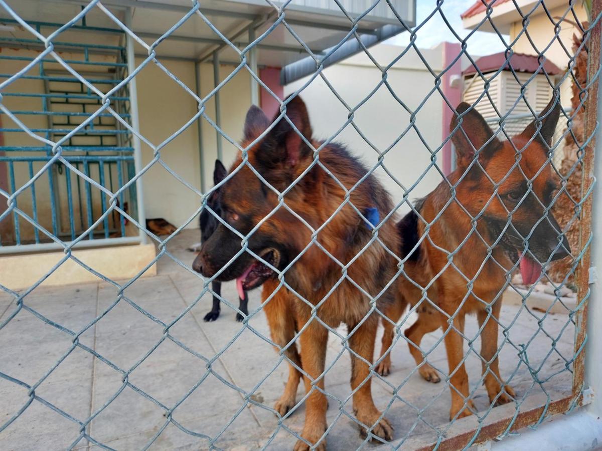Asahalah Farm Pool Villas Seeb Εξωτερικό φωτογραφία